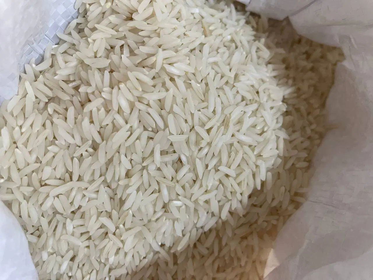 برنج طارم هاشمی اصل بدون قاطی و مستقیم از شالیزار|خوردنی و آشامیدنی|مشهد, گلبرگ شمالی|دیوار