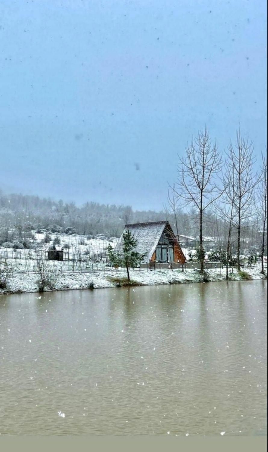 اجاره کلبه سوییسی جکوزی دار با برکه اختصاصی|اجارهٔ کوتاهمدت ویلا و باغ|رشت, کاکتوس|دیوار