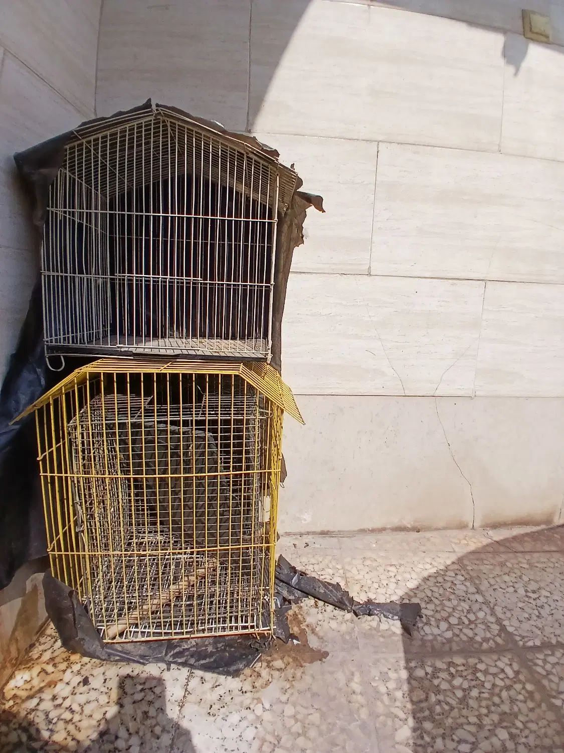 قفس پرنده|لوازم جانبی حیوانات|اهواز, آسیاباد|دیوار