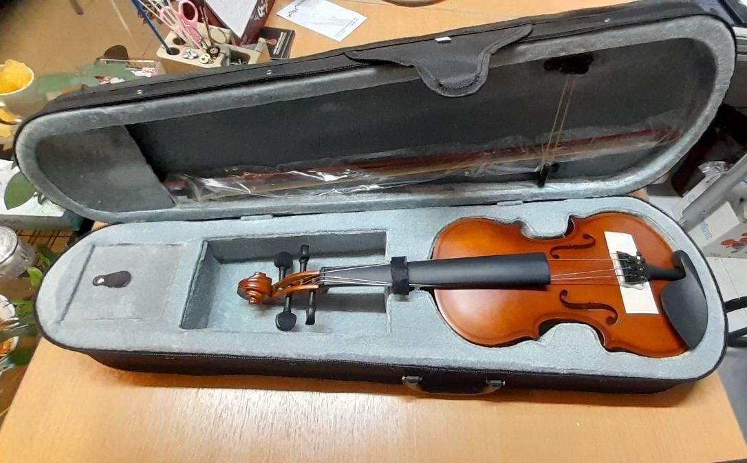 ویولن 1/4 2/4 hofner|ویولن|اصفهان, نقش جهان|دیوار
