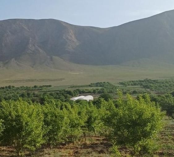 زمین جهت کشاورزی و گلخانه‌|فروش دفتر صنعتی، کشاورزی، تجاری|اصفهان, تیران|دیوار
