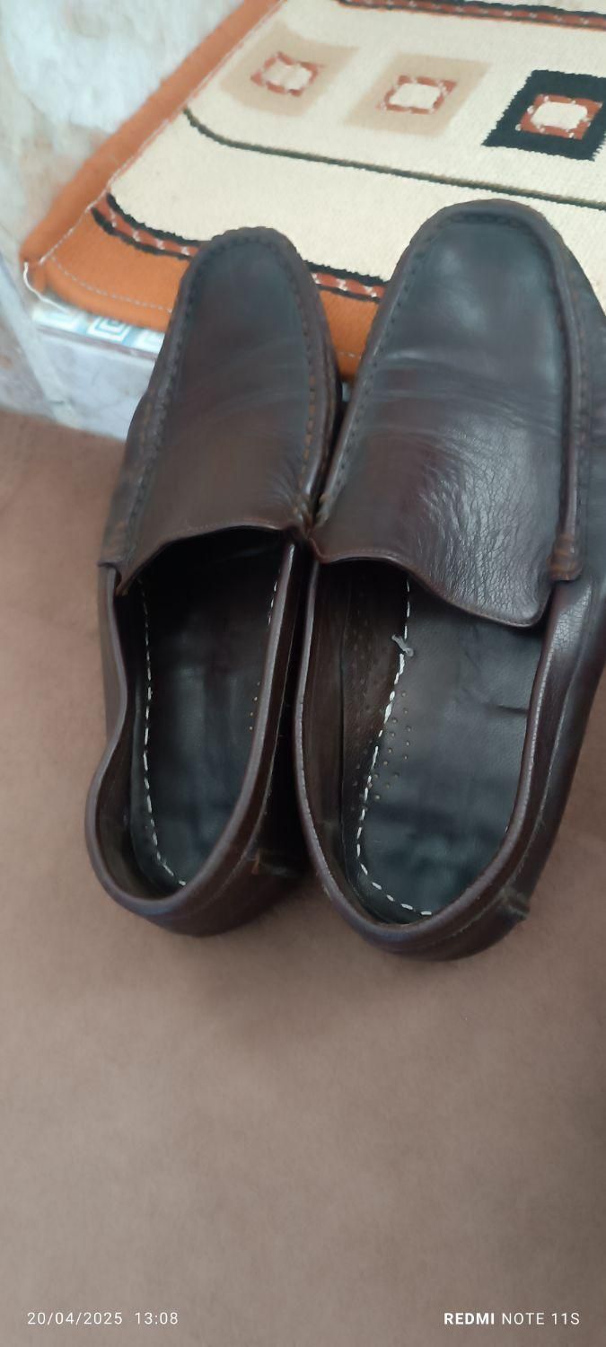 کفش چرم|کیف، کفش، کمربند|کبودرآهنگ, |دیوار