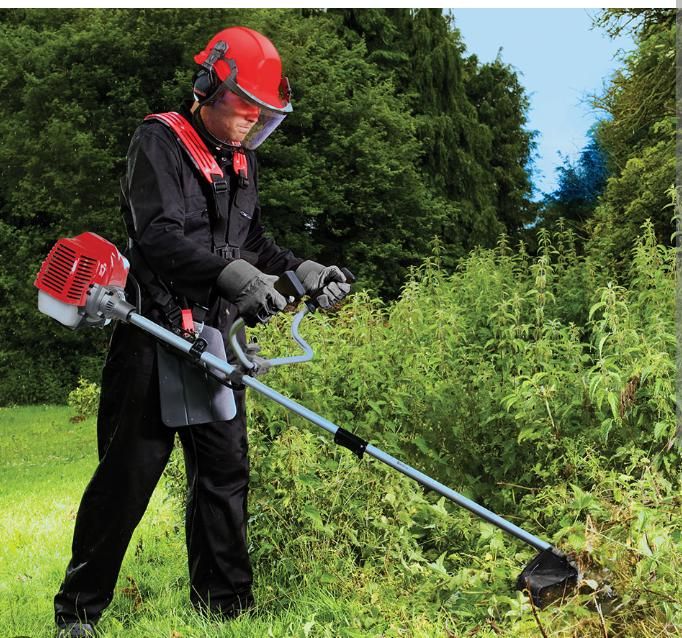 خدمات باغبانی|خدمات باغبانی و درختکاری|فومن, |دیوار