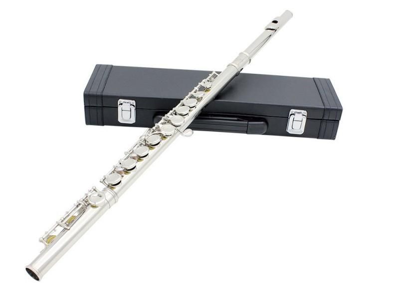 فلوت آمریکایی کلکسیونی|سازهای بادی|شیراز, ستارخان|دیوار