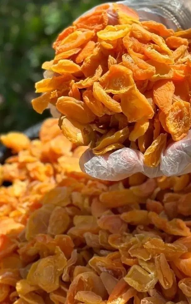 آلوبخارا گوشتی و امسالی ارسال جمعه به سراسر مشهد|خوردنی و آشامیدنی|مشهد, بهاران|دیوار