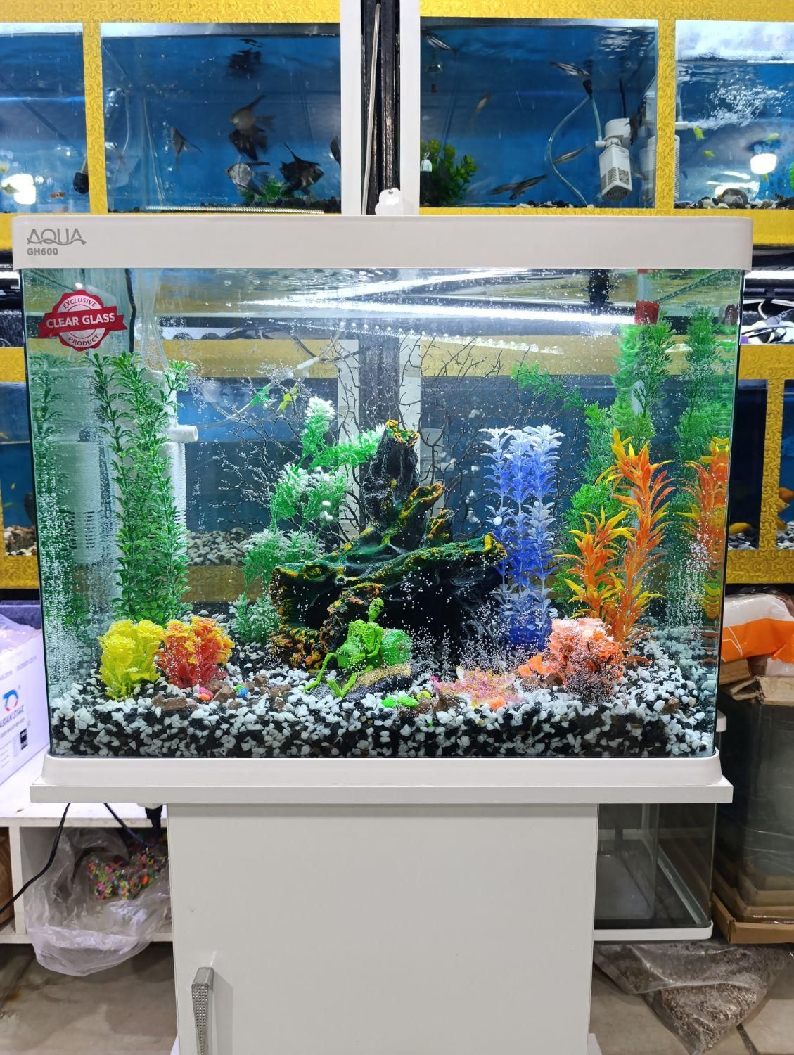 آکواریوم مرکزی خلیج فارس|ماهی|یاسوج, |دیوار