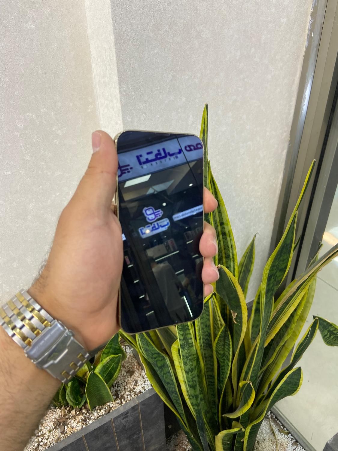 اپل ایفونiPhone 13پروحافظه یه ترابایت اقساطی محدود|موبایل|اصفهان, احمدآباد|دیوار