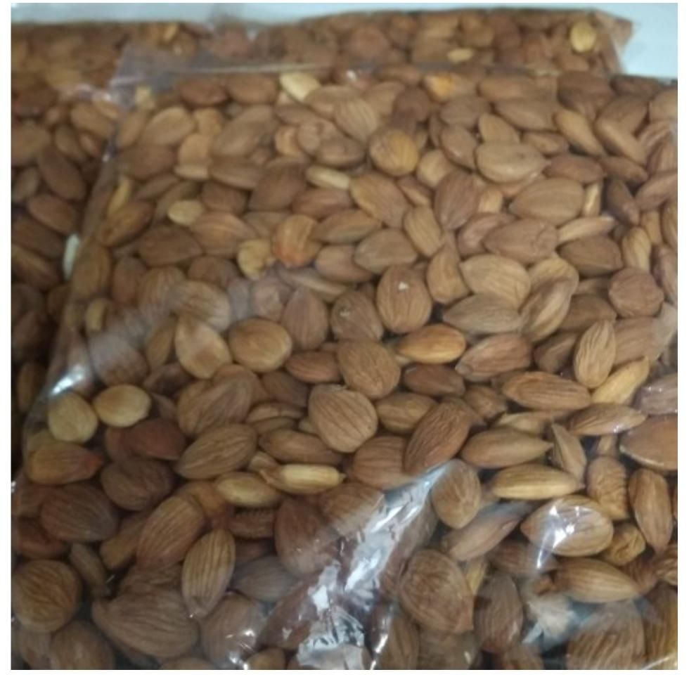 مغز هسته زرد آلو بومی از زردآلو امسالی|خوردنی و آشامیدنی|اصفهان, خوراسگان|دیوار