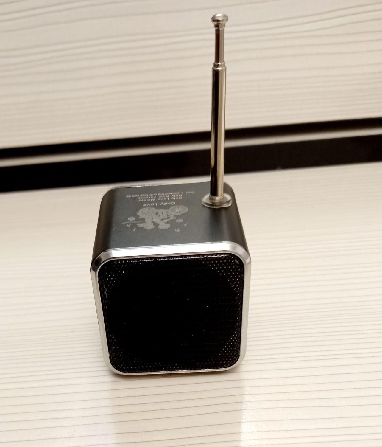 اسپیکر. بلندگو|پخشکننده همراه|گرگان, |دیوار