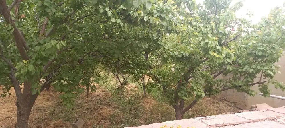 باغ ویلای ۱۰۰۰متری در رامجین|فروش خانه و ویلا|تهران, شهرک چیتگر|دیوار