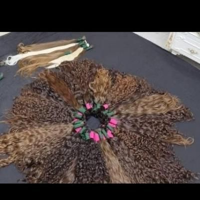 خرید مو به قیمت دلار خریدار اصلی|آرایشی، بهداشتی، درمانی|سبزوار, شرق کال میانی|دیوار