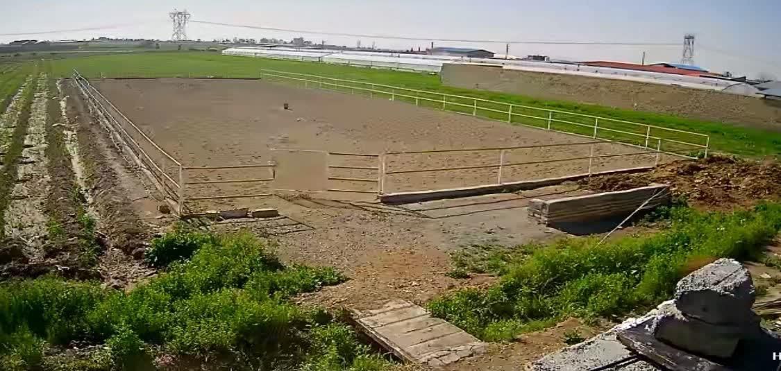 آموزش و پانسیون اسب|اسب و تجهیزات اسبسواری|پیشوا, |دیوار