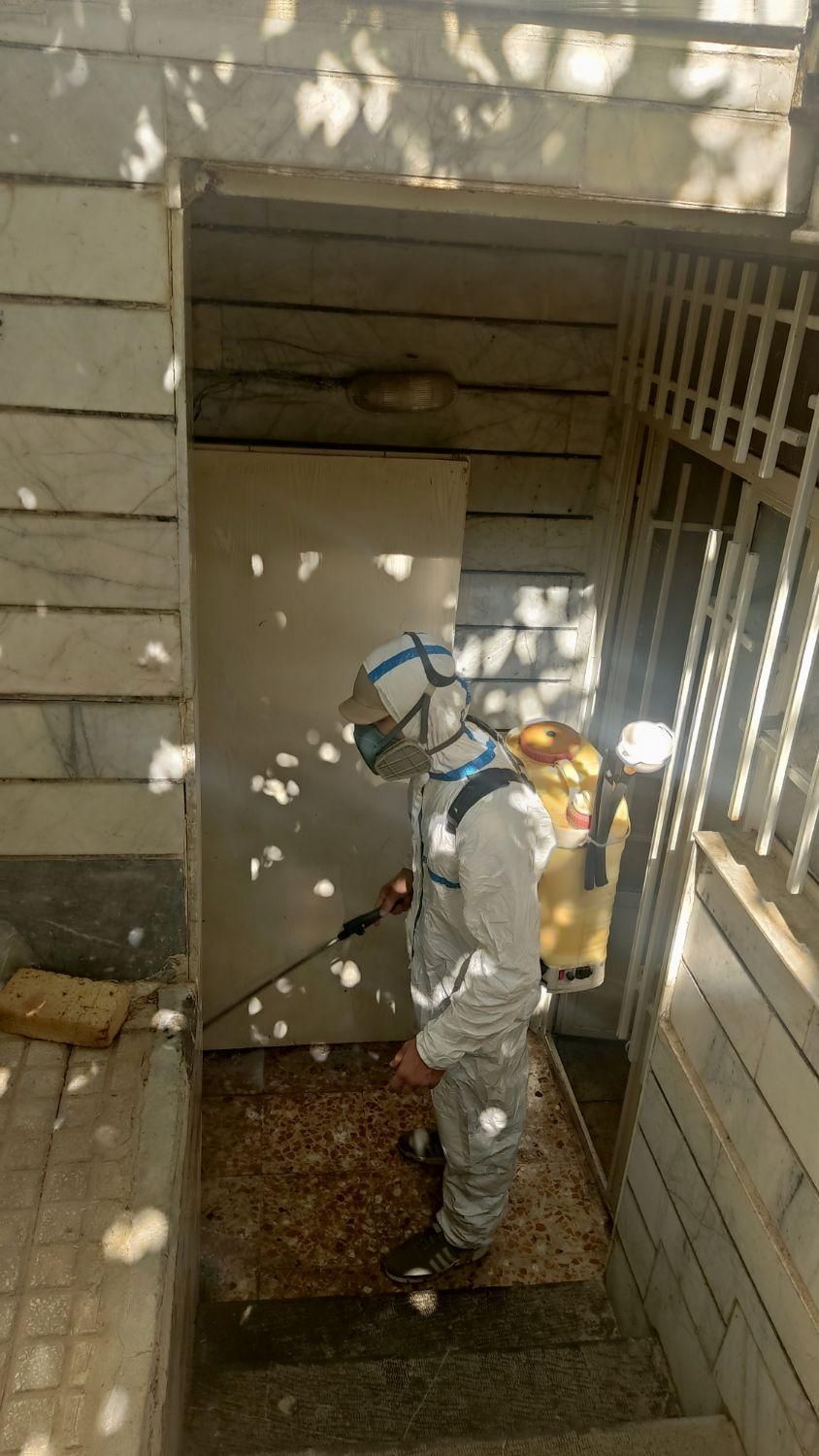 سمپاشی تخصصی سوسک و ساس با ضمانت کتبی|خدمات نظافت|کرج, برغان|دیوار