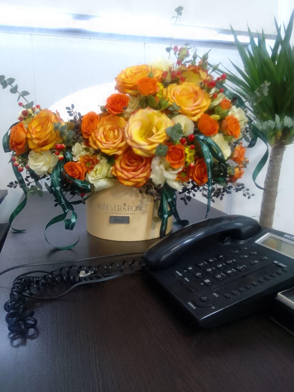 شرکت خدماتی پارس مهر|خدمات نظافت|شیراز, ملاصدرا|دیوار