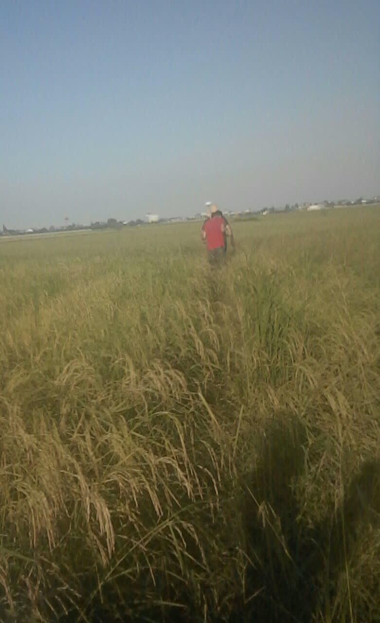 نقشه برداری تفکیک یو تی ام(UTM)زمین جهت سند تکبرگ|خدمات پیشه و مهارت|بابلسر, |دیوار