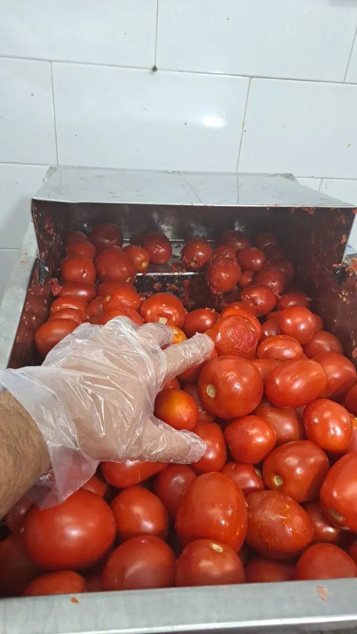 آبلیمو و آبغوره رب  گوجه گیری و سبزی خردکنی|خوردنی و آشامیدنی|اصفهان, باتون|دیوار