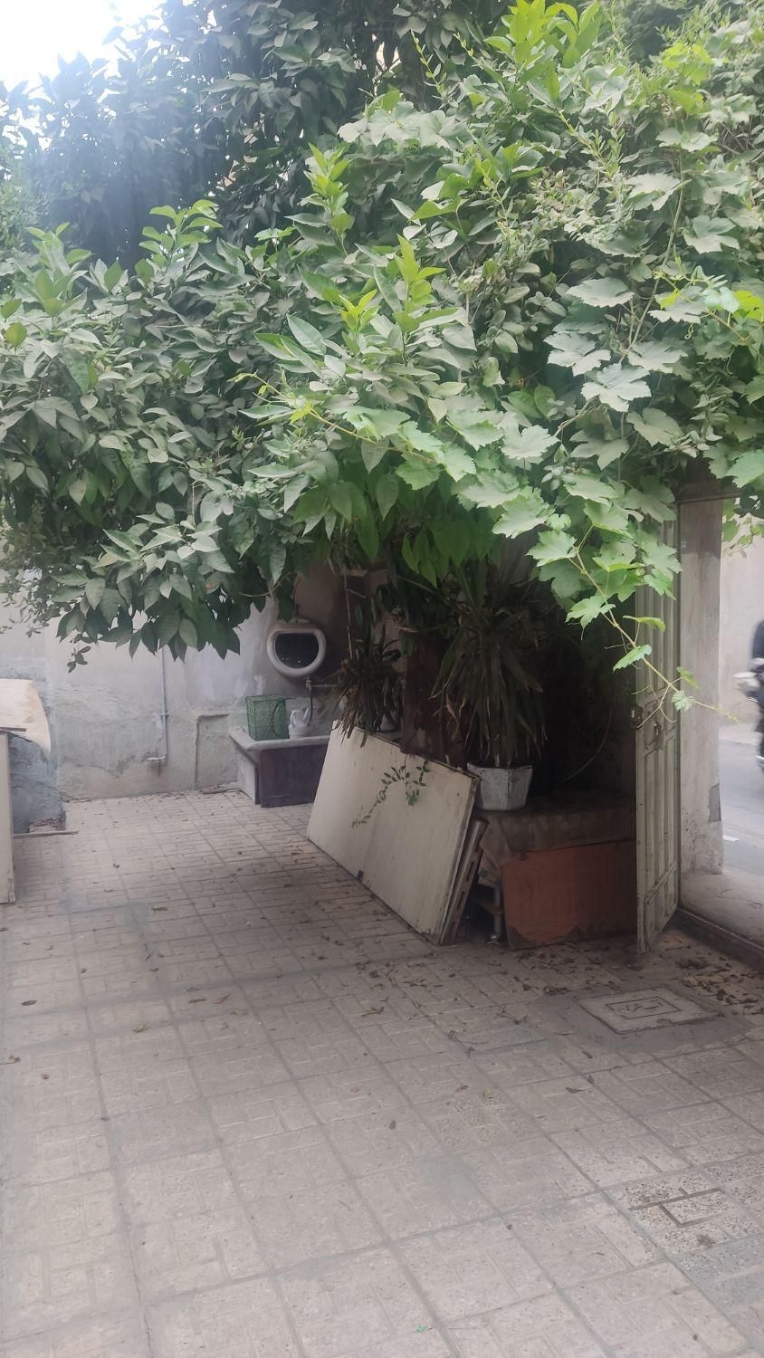 خانه کلنگی|فروش زمین و ملک کلنگی|تهران, سلیمانی|دیوار