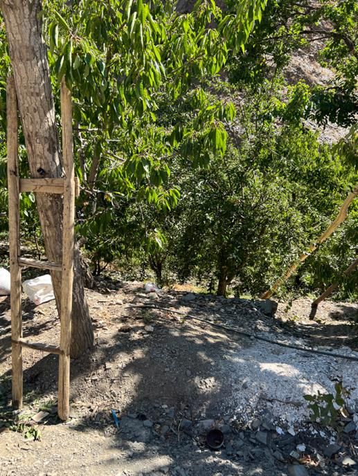 محله زشک ۱۰۰ متر زمین ۲۰ متر بناپیش ساخته ۴۰۰ م|فروش زمین و ملک کلنگی|مشهد, آزادشهر|دیوار