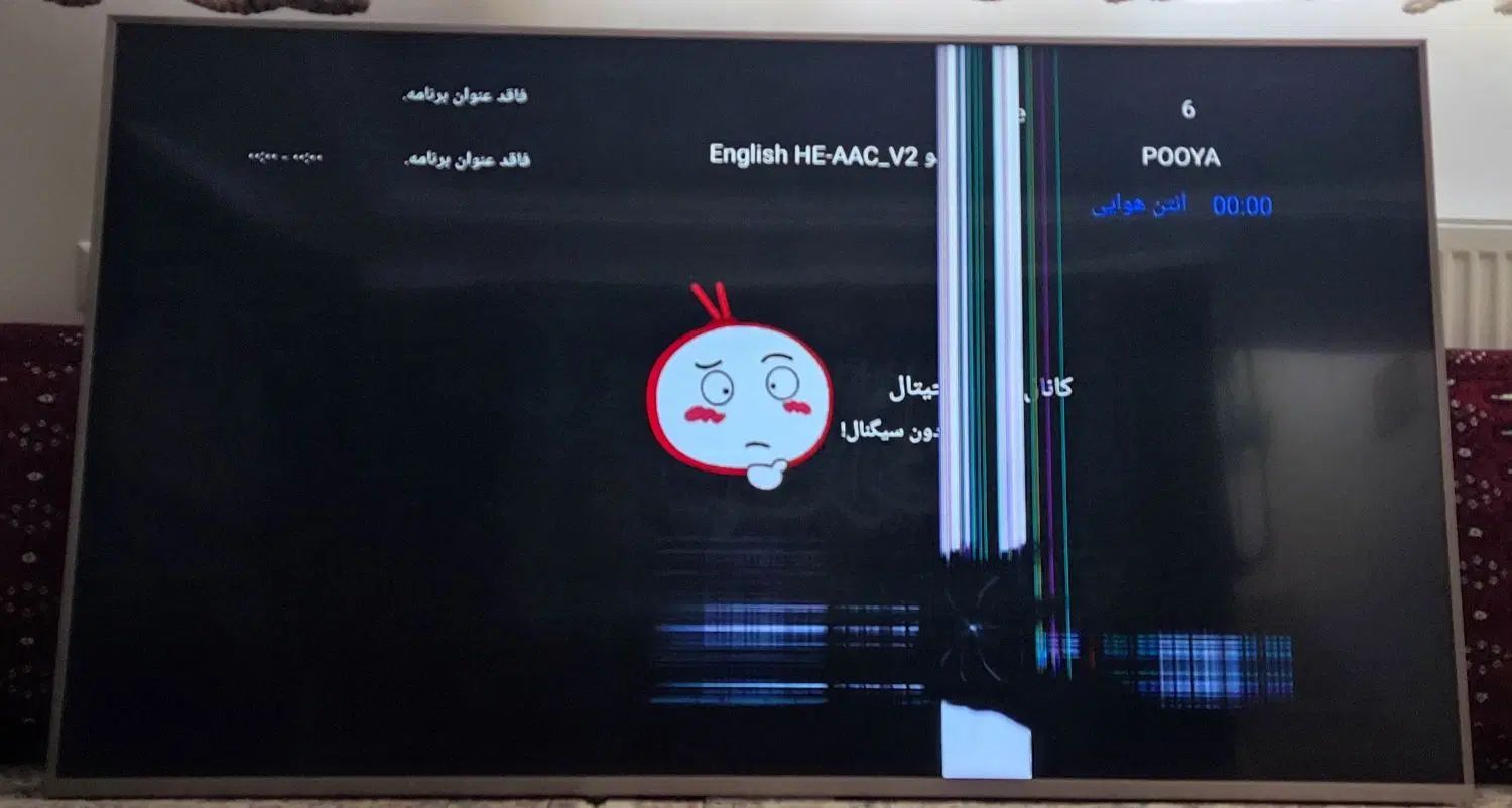فروش تلویزیون ۶۵ اینچ ایکس ویژن|تلویزیون و پروژکتور|مشهد, حرم مطهر رضوی|دیوار