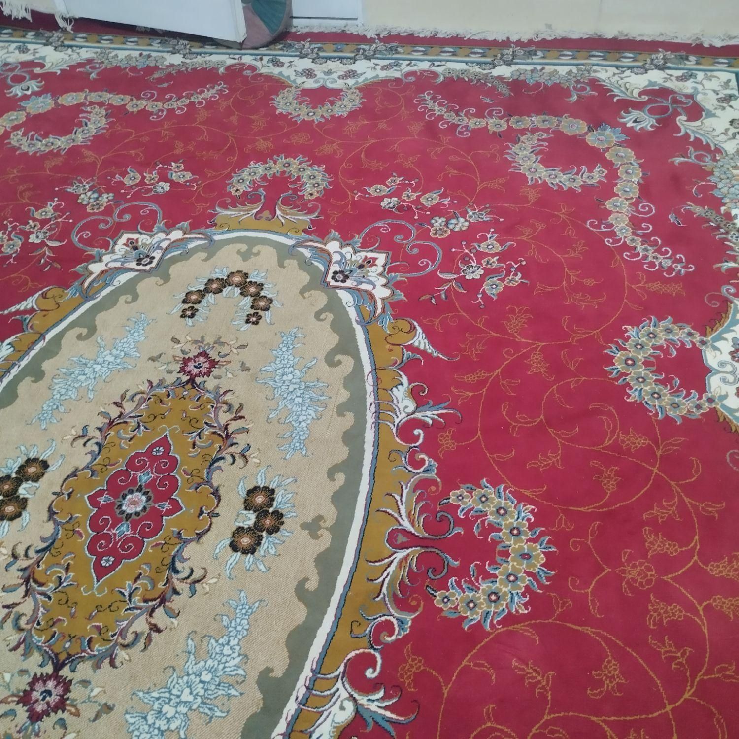 فرش دوازده متری|فرش|مشهد, پنجتن|دیوار