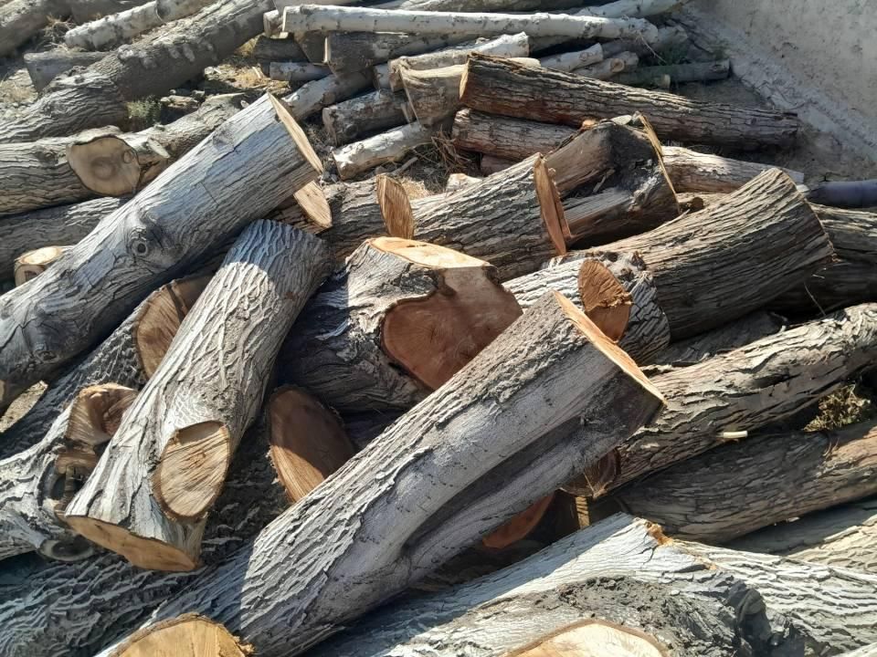 خریدار انواع پالت وچوب|خدمات باغبانی و درختکاری|هشتگرد, شهرک فرهنگیان|دیوار