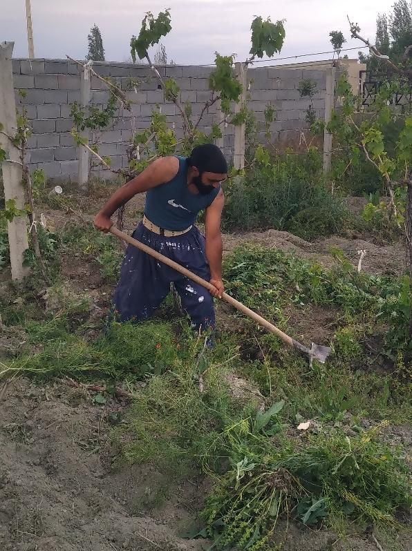 کارگر بیل زنی علف زنی باغبانی|خدمات باغبانی و درختکاری|ارومیه, |دیوار