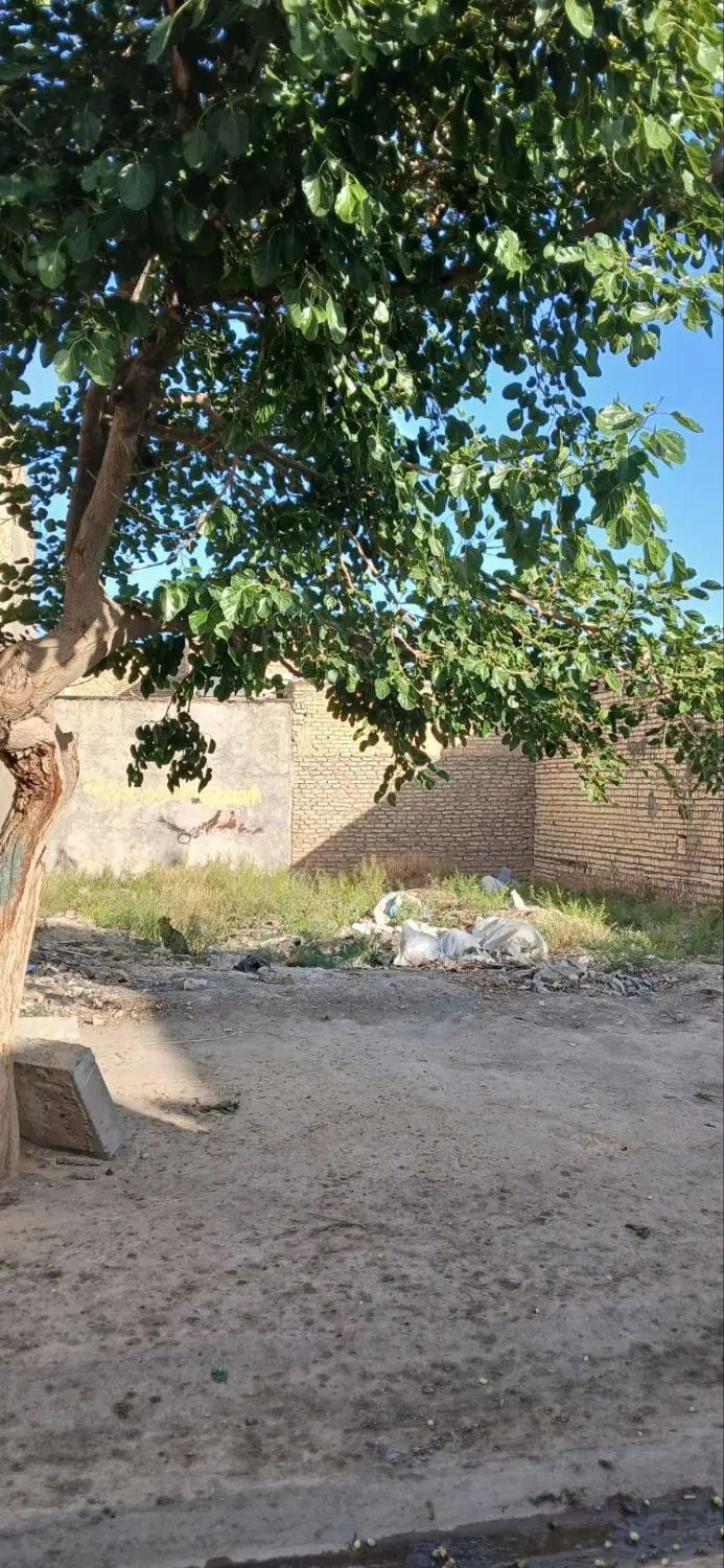 زمین ۸۵متری|فروش زمین و ملک کلنگی|مشهد, علی آباد|دیوار
