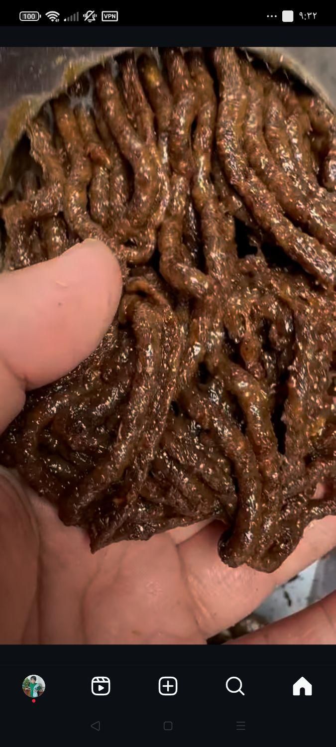 کشمش افتابی|عمدهفروشی|قرچک, زیبا شهر|دیوار