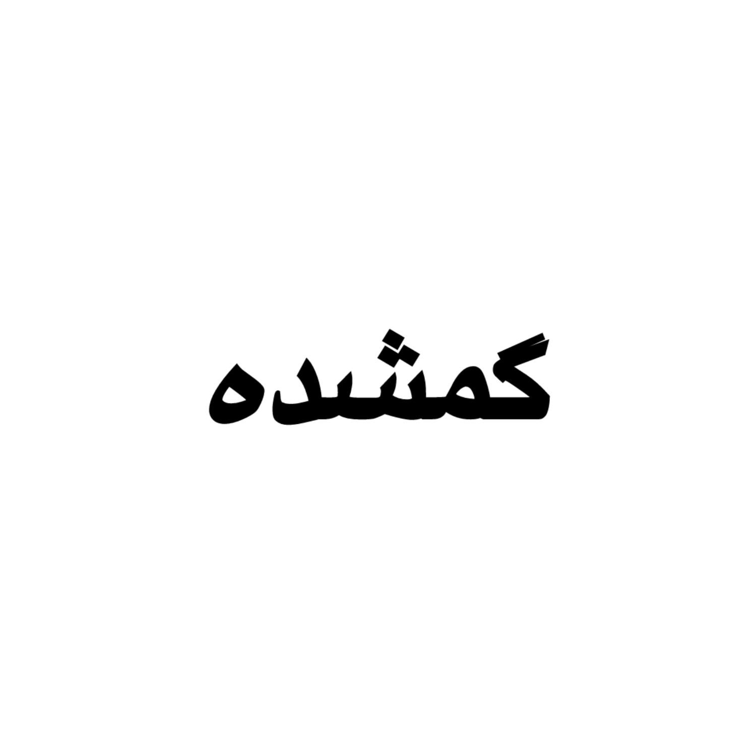 کارت ملی و کارت بانکی گمشده|اشیا|بجنورد, |دیوار