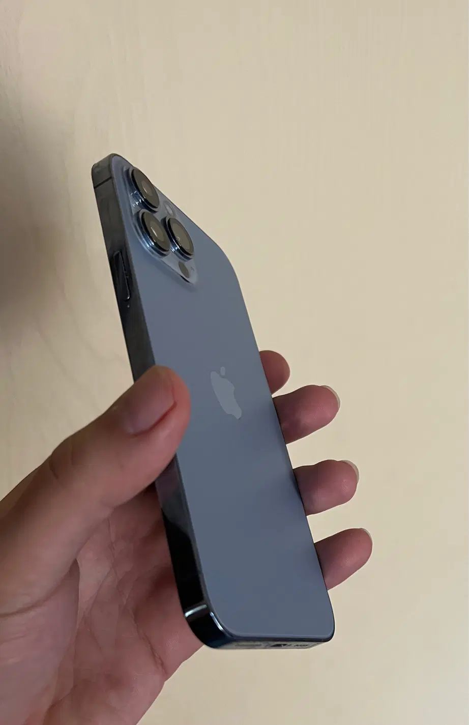 آیفون ۱۳ پرومکس promax 256 iphone|موبایل|تهران, سردارجنگل|دیوار