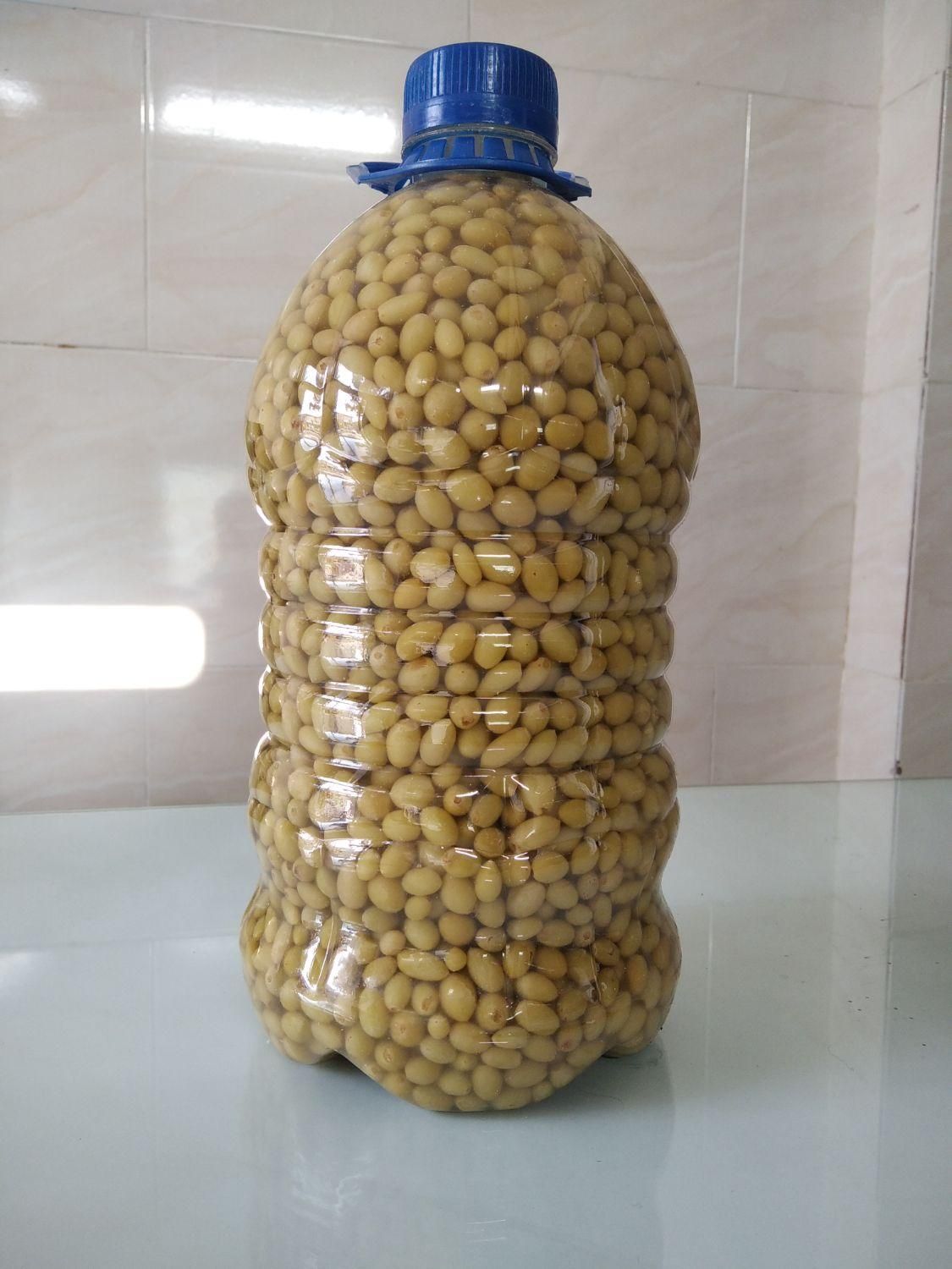 غوره شور ،آبغوره، سرکه ، آبلیمو|خوردنی و آشامیدنی|تهران, دردشت|دیوار