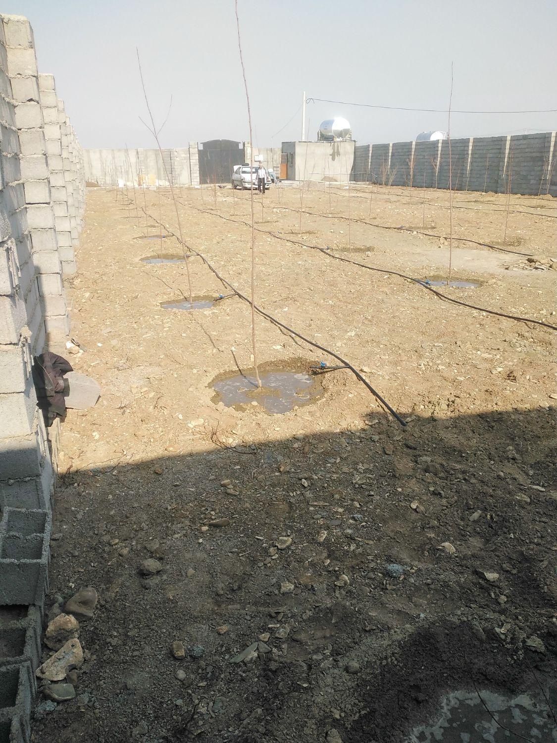 آبیاری قطره ای لوله کشی باغات و مزارع.|خدمات باغبانی و درختکاری|مشهد, سازمان آب|دیوار