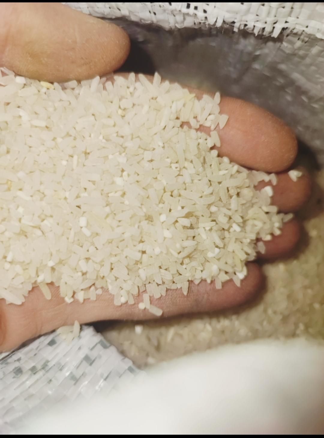 برنج نیمه تارم اصل عطر و بوی تضمینی زیر قیمت بازار|خوردنی و آشامیدنی|مشهد, طبرسی شمالی|دیوار