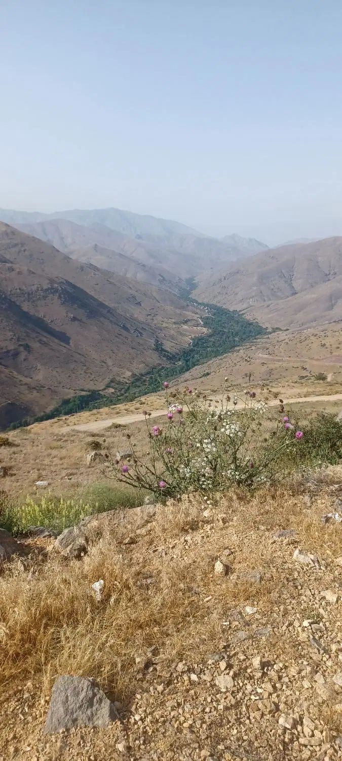 دنبال کارگاه ۸۰ الی ۱۲۰ متری برا نجاری هستم|فعالیت داوطلبانه|ابهر, |دیوار