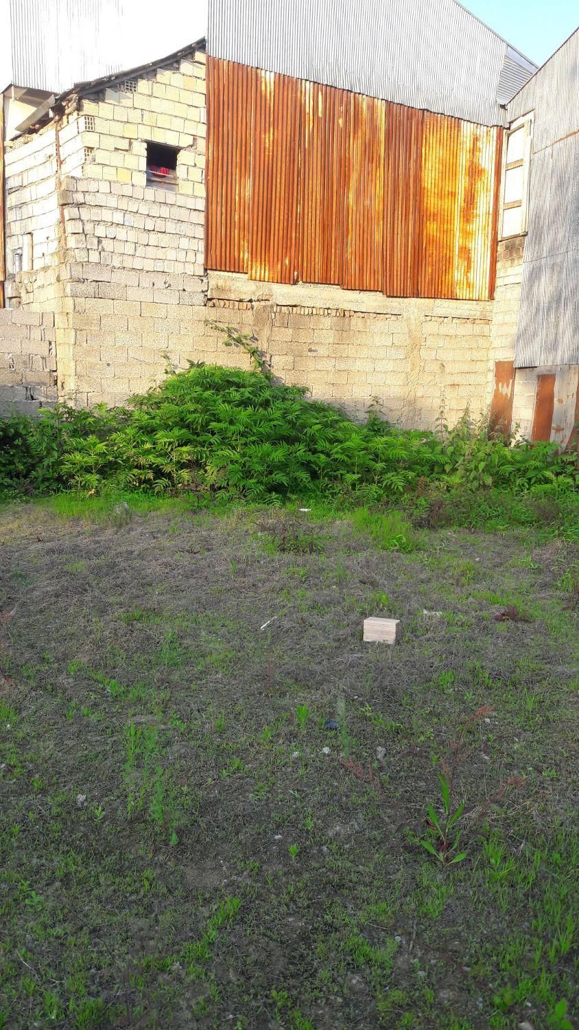 تهاتر/ معاوضه 600متر زمین بازمین کشاورزی ودامداری|فروش زمین و ملک کلنگی|شفت, |دیوار