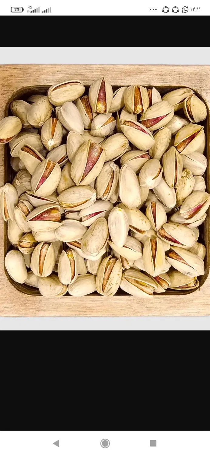 اکیپ 15نفره پسته چین هرکسی خواست در خدمتیم|خدمات باغبانی و درختکاری|کرمان, |دیوار
