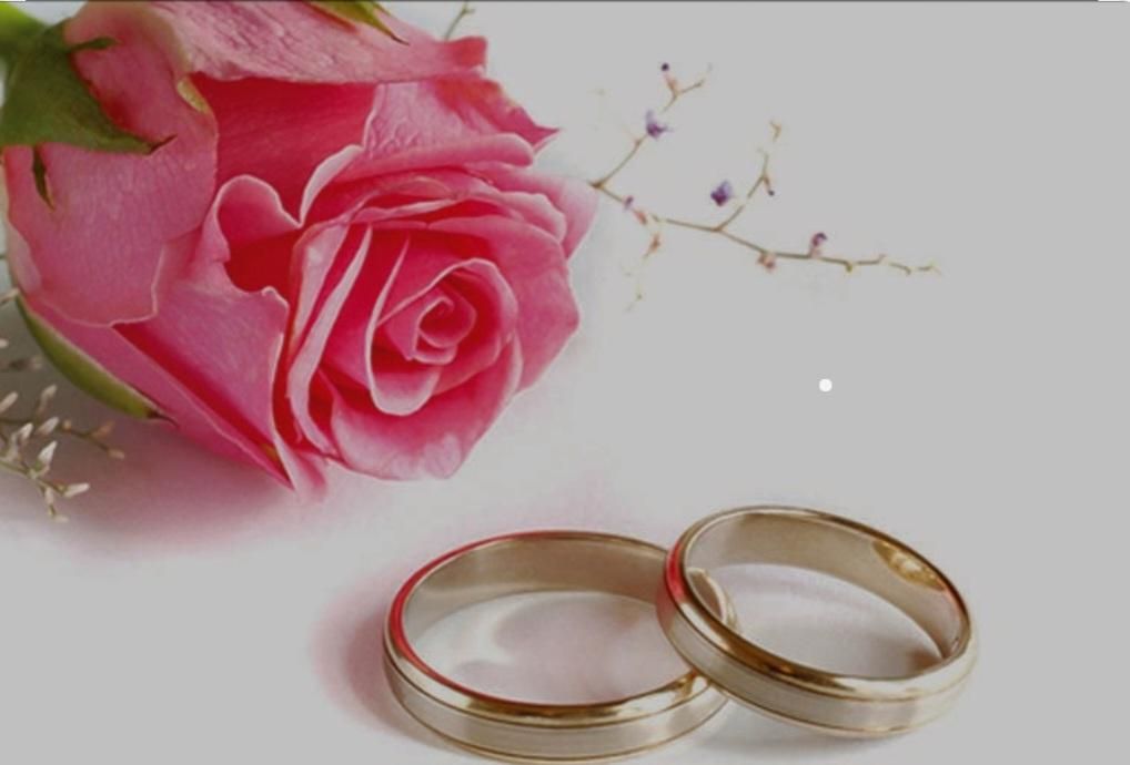 ضامن وام ازدواج میشم|خدمات مالی، حسابداری، بیمه|بجنورد, |دیوار