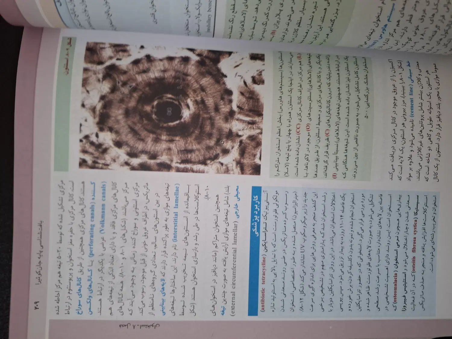 کتاب بافت شناسی پایه جان کوئیرا کاملا نو|کتاب و مجله آموزشی|تهران, خانی آباد نو شمالی|دیوار