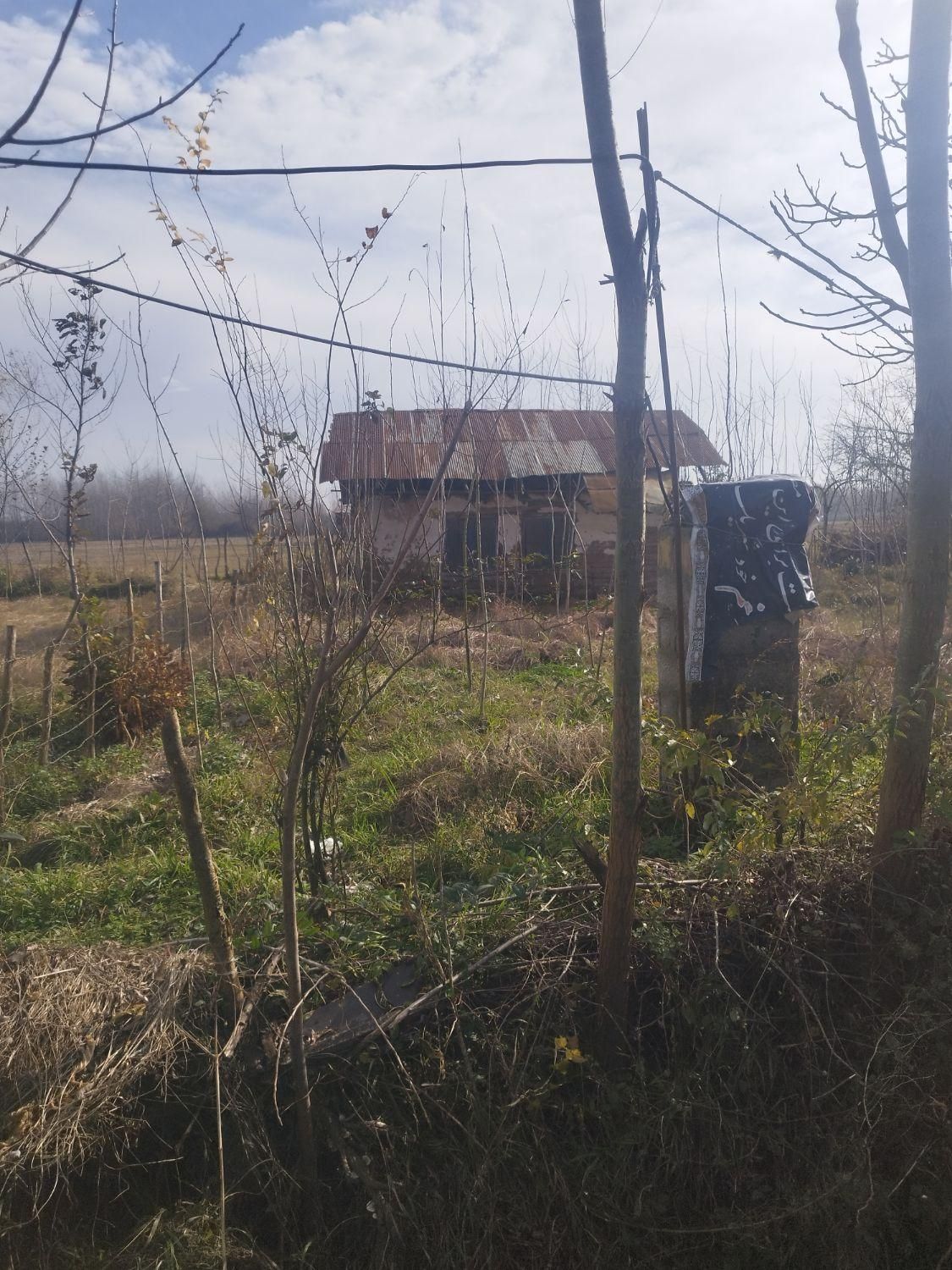 300مترزمین بابنای سنتی باامتیازبرق وآب روستایی|فروش خانه و ویلا|رضوانشهر, |دیوار