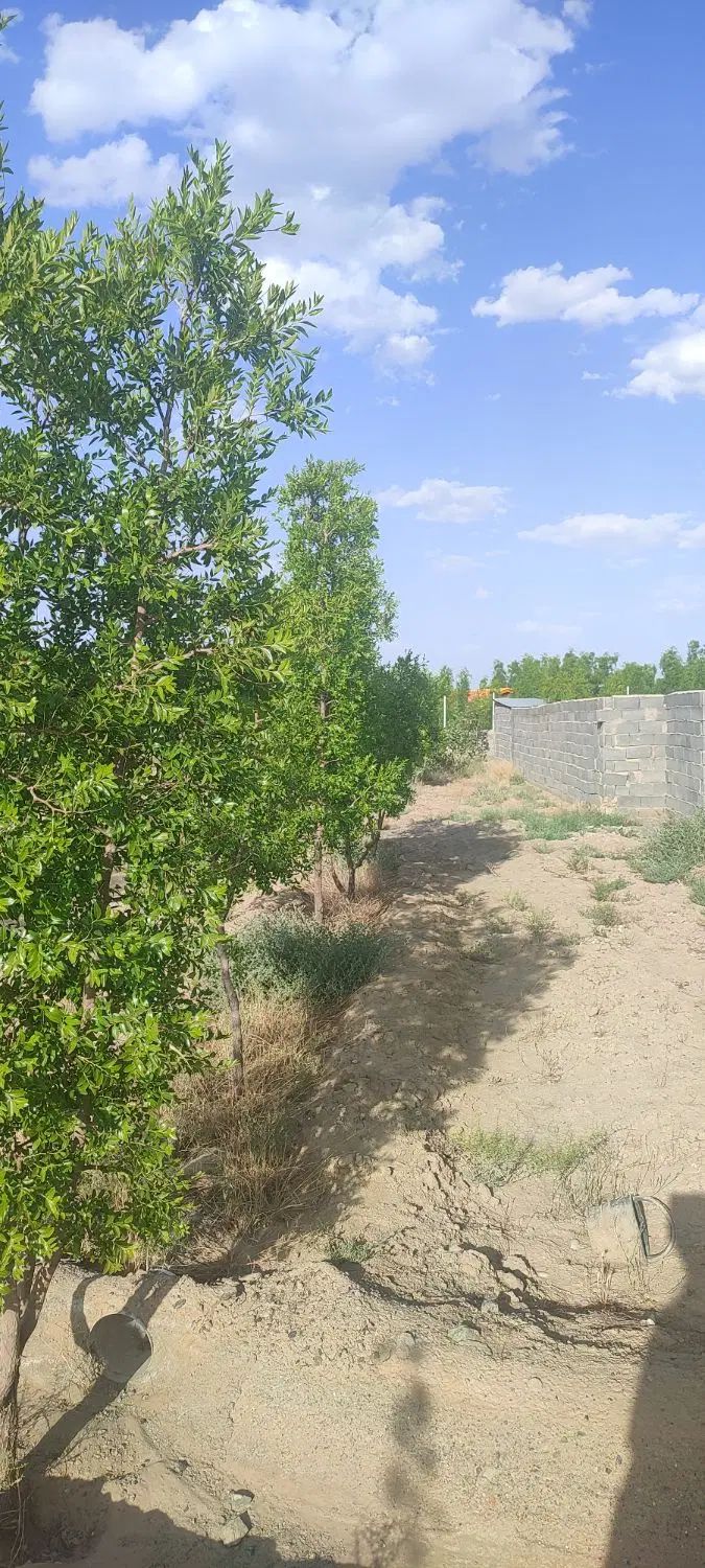 تصویر 4