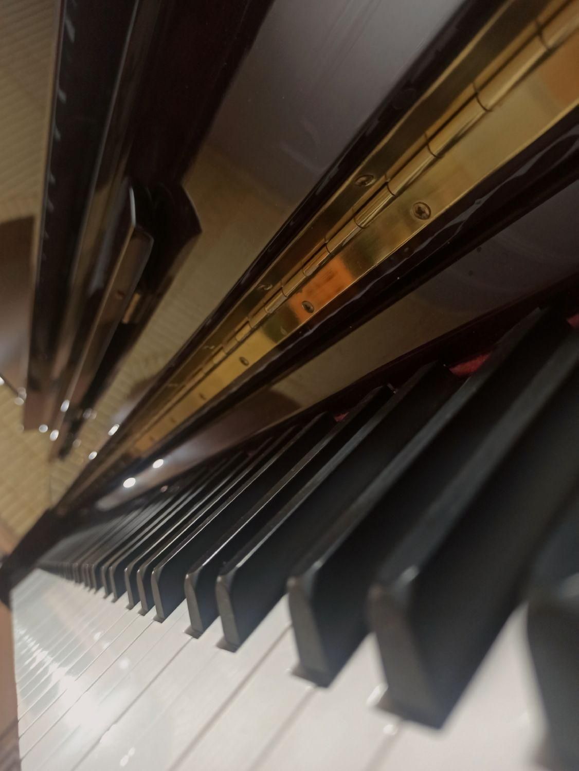 آموزش پیانو و سلفژ (خصوصی)|خدمات آموزشی|شیراز, بریجستون|دیوار