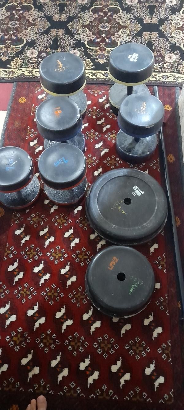 دمبل . وسایل ورزشی|تجهیزات ورزشی|تربت جام, مسکن مهر|دیوار