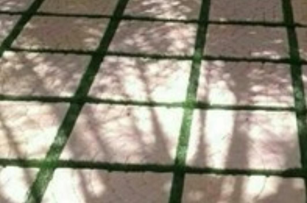 کاشیکاری موزاییک و سرامیک نم گیری کف حمام ودستشویی|خدمات پیشه و مهارت|کرمانشاه, |دیوار