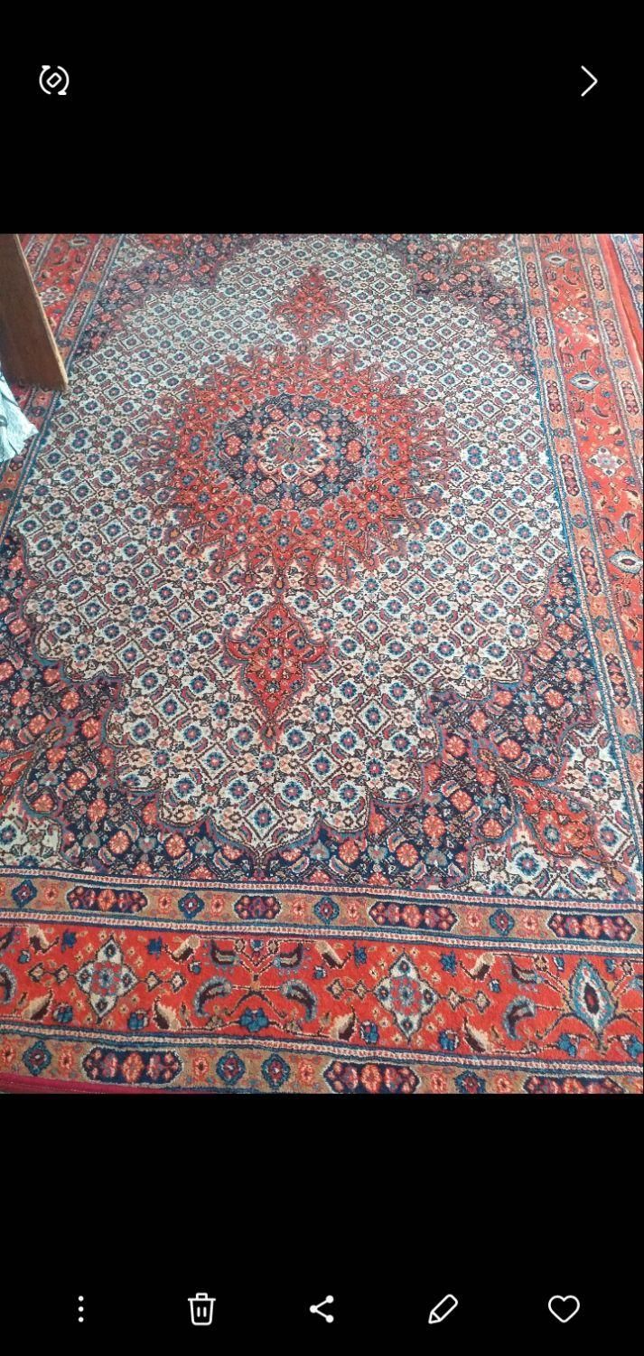 فرش دستباف پشم|فرش|زاهدان, |دیوار