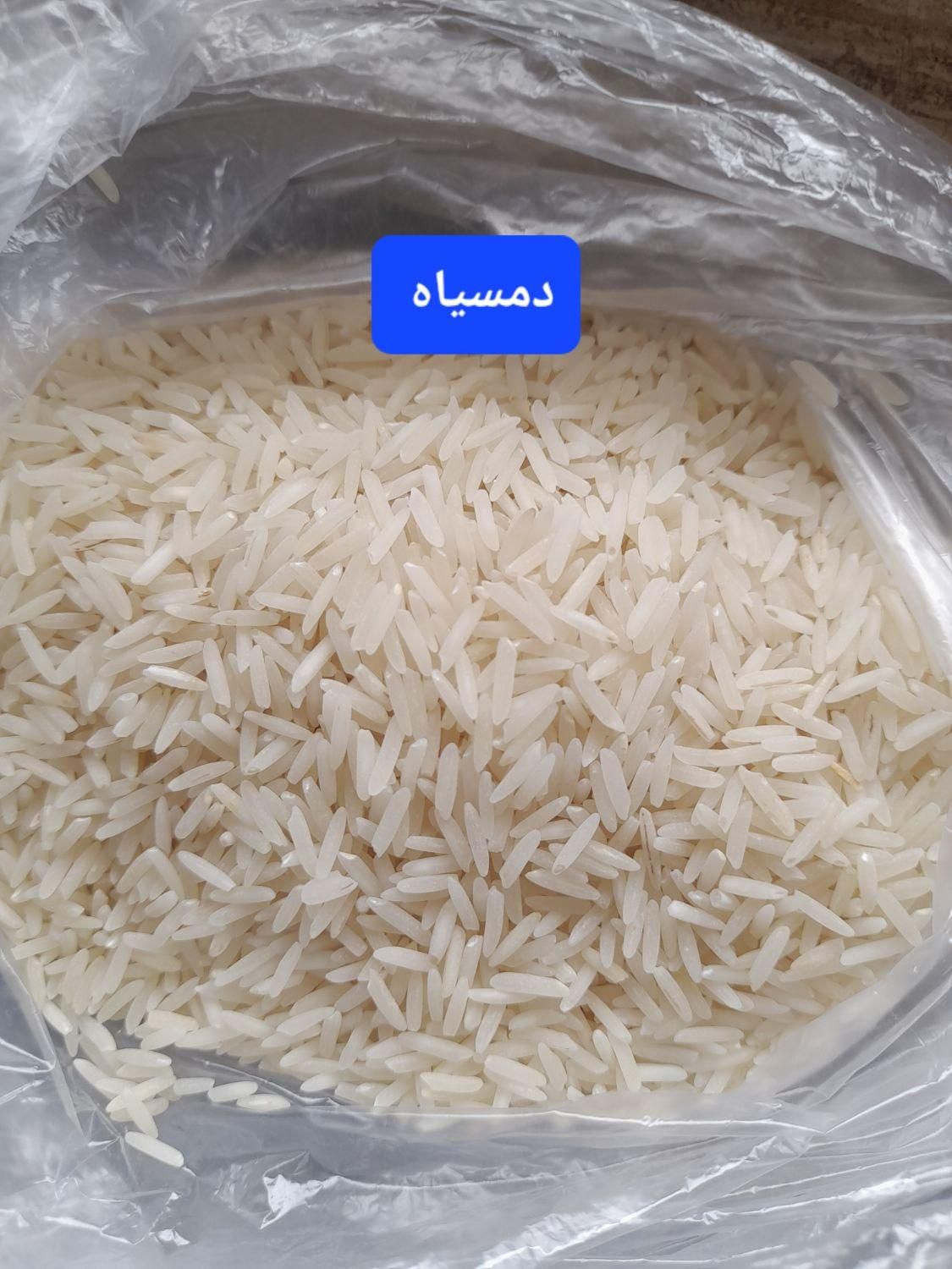 خرید برنج مستقیم از شالیزار گیلان ۱۲۵|خوردنی و آشامیدنی|کرج, کمال‌شهر|دیوار
