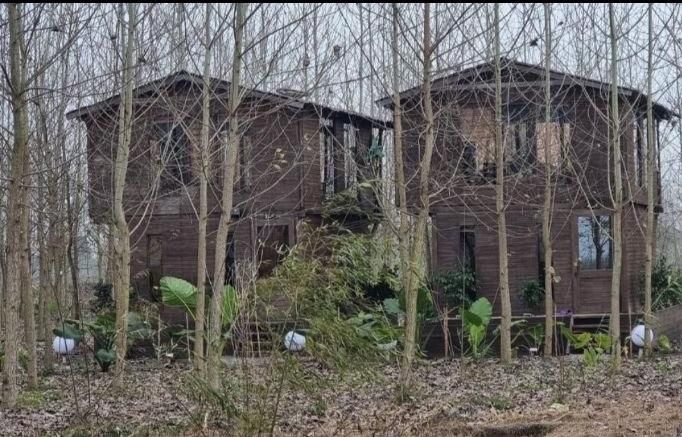 ویلا/کلید تحویل/آینده دار|فروش خانه و ویلا|اشتهارد, |دیوار