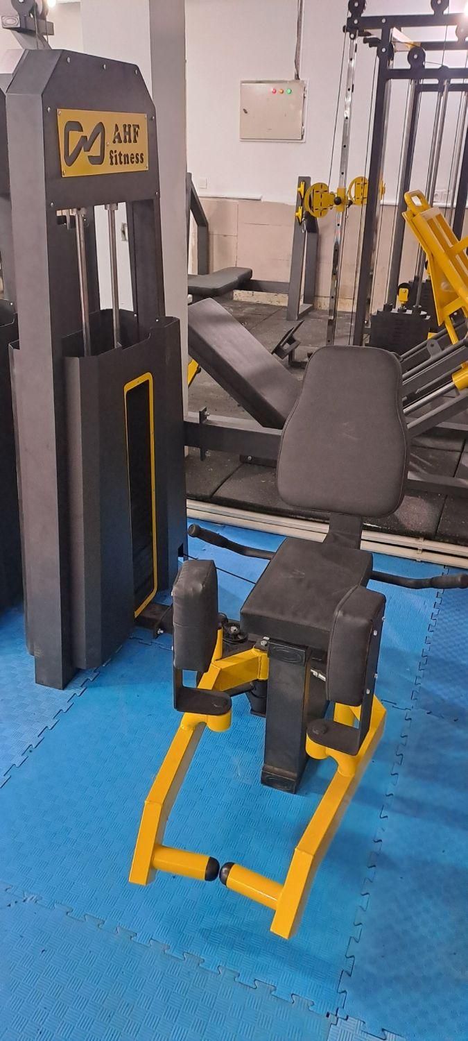 انواع دستگاه بدنسازی باشگاهی طرح DHZ Pro|تجهیزات ورزشی|تهران, اقدسیه|دیوار