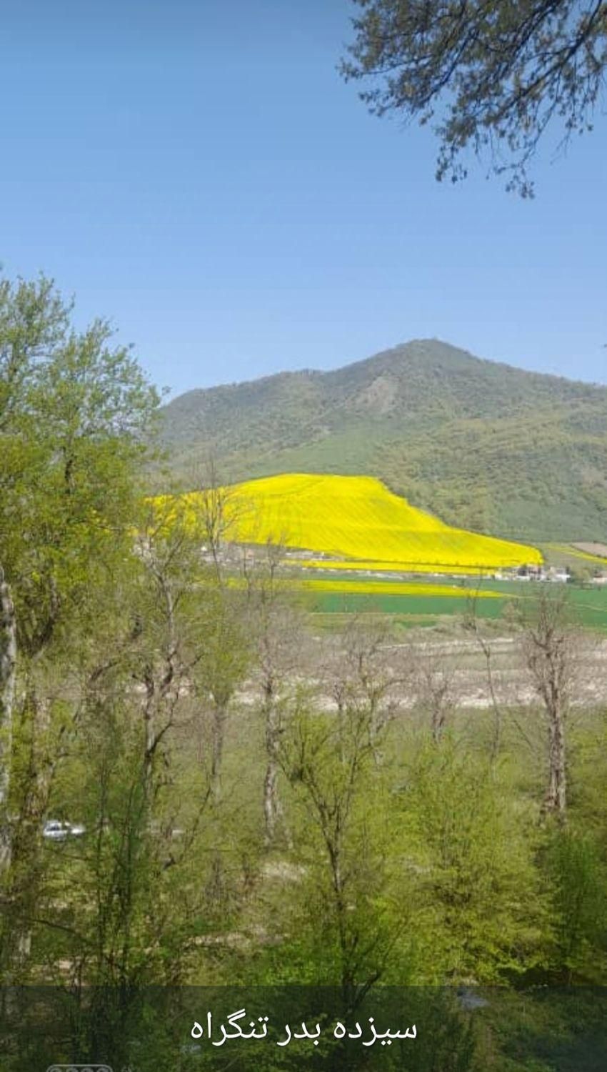 استخردار تنگراه جنگلی ویلا ۶۰۰ متری|اجارهٔ کوتاهمدت ویلا و باغ|گنبد کاووس, |دیوار