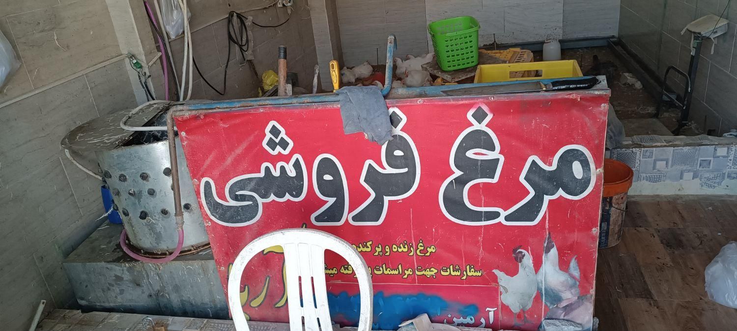 وسایل مرغ فروشی کامل صفر تا صد|ابزارآلات|سرپل ذهاب, |دیوار
