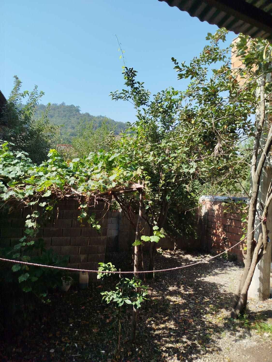 سویت شیرآباد|اجارهٔ کوتاه‌مدت آپارتمان و سوئیت|خان ببین, |دیوار